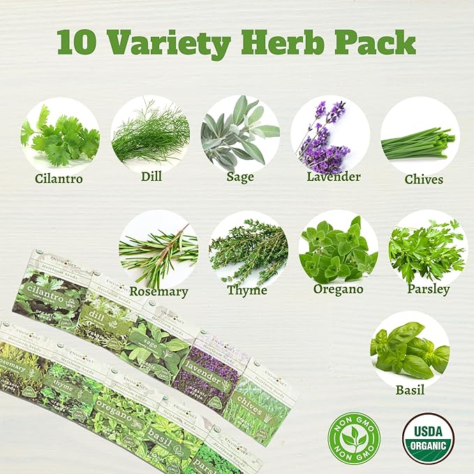 10 Indoor Herb Garden Kit- Burlap Pots, Organic Seeds, Herb Garden Planter Indoor Kit, Easy Window & Kitchen Herbs Growing Kit, Cilantro, Basil, Sage, Oregano, Parsley, Dill, Chives etc.