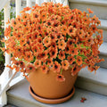 Uieke 72 Pcs Artificial Fall Flowers for Outdoors, UV Resistant Faux Mums