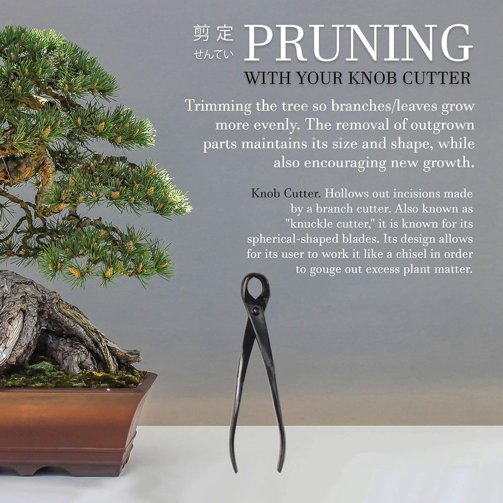 BambooMN Bonsai Tool Kit - 8" Concave Cutter & 8" Knob Cutter -...