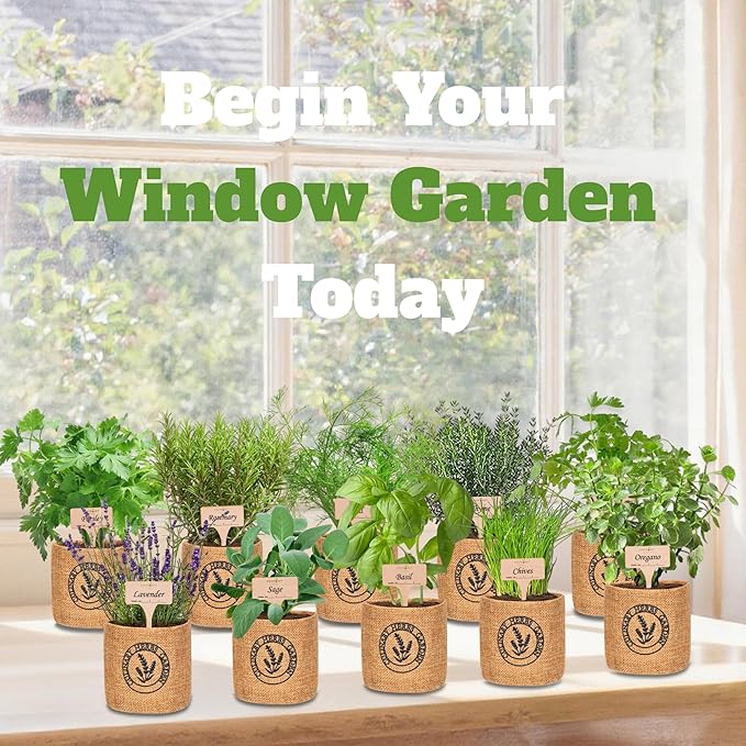 10 Indoor Herb Garden Kit- Burlap Pots, Organic Seeds, Herb Garden Planter Indoor Kit, Easy Window & Kitchen Herbs Growing Kit, Cilantro, Basil, Sage, Oregano, Parsley, Dill, Chives etc.