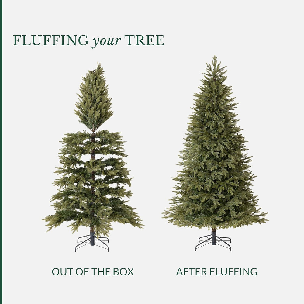 Balsam Hill Stratford Spruce - Slim Artificial Christmas Tree with True Needl...