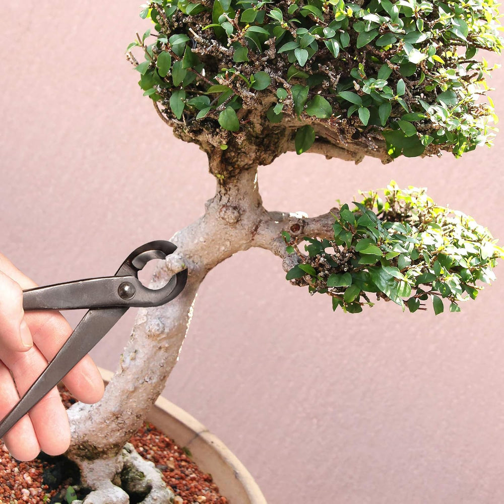 BambooMN Bonsai Tool Kit - 8" Concave Cutter & 8" Knob Cutter -...