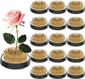 Sliner 16 Pieces Floral Frogs Round Flower Holder Japanese Ikebana Vase Kenzan Flower Flower Arranger Flower Fixed Tools Pin for Flower Arrangement Home DIY Craft (Gold,1.81 Inch)
