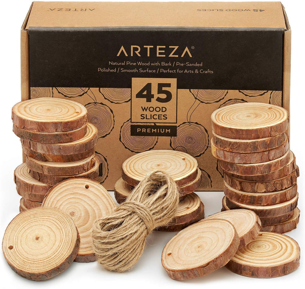 Arteza Outdoor Paint and Wood Slices Bundle, Painting Art Supplies for Artist...