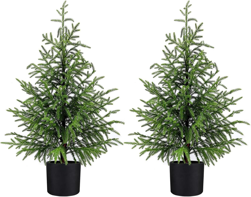 3FT Small Norfolk Pine Christmas Trees, 2-Pack Potted, Unlit