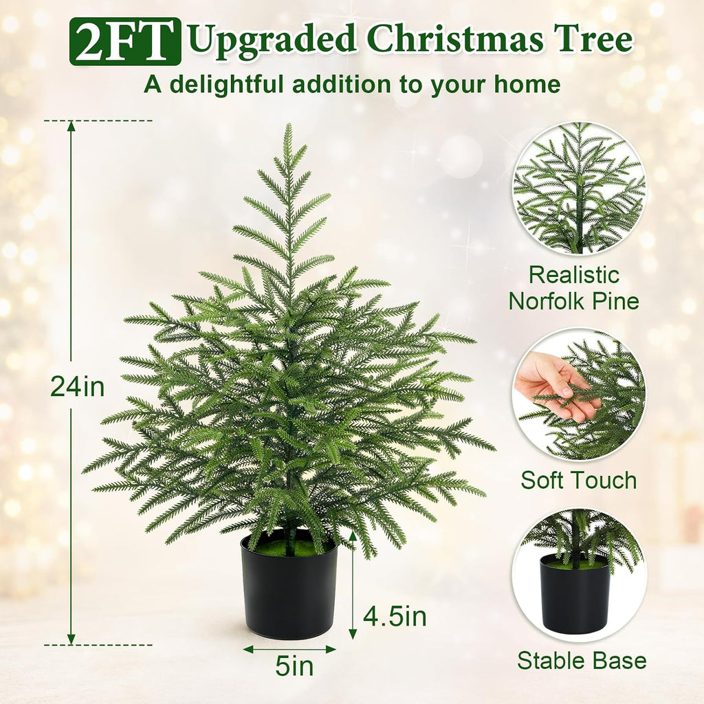 2 Ft Real Touch Christmas Tree with Lights, Realistic Norfolk Pine Tree