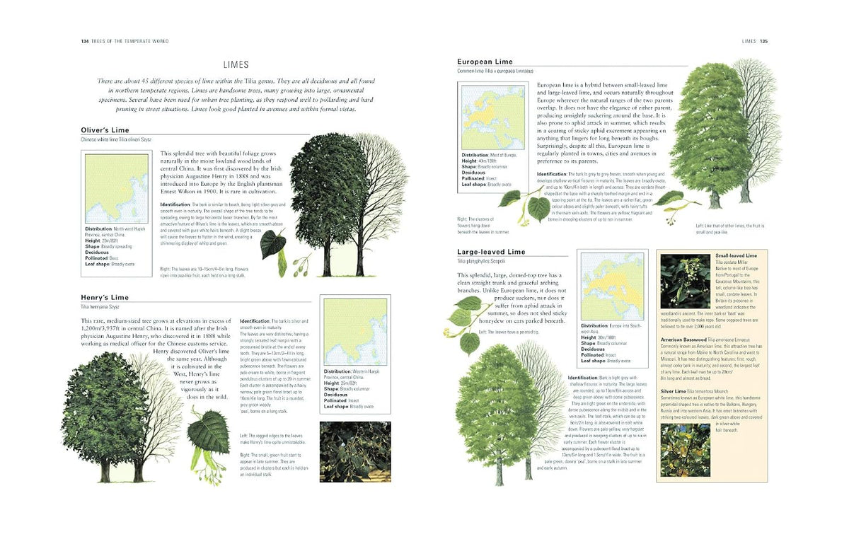 the world encyclopedia of trees: a reference and showing dimensions