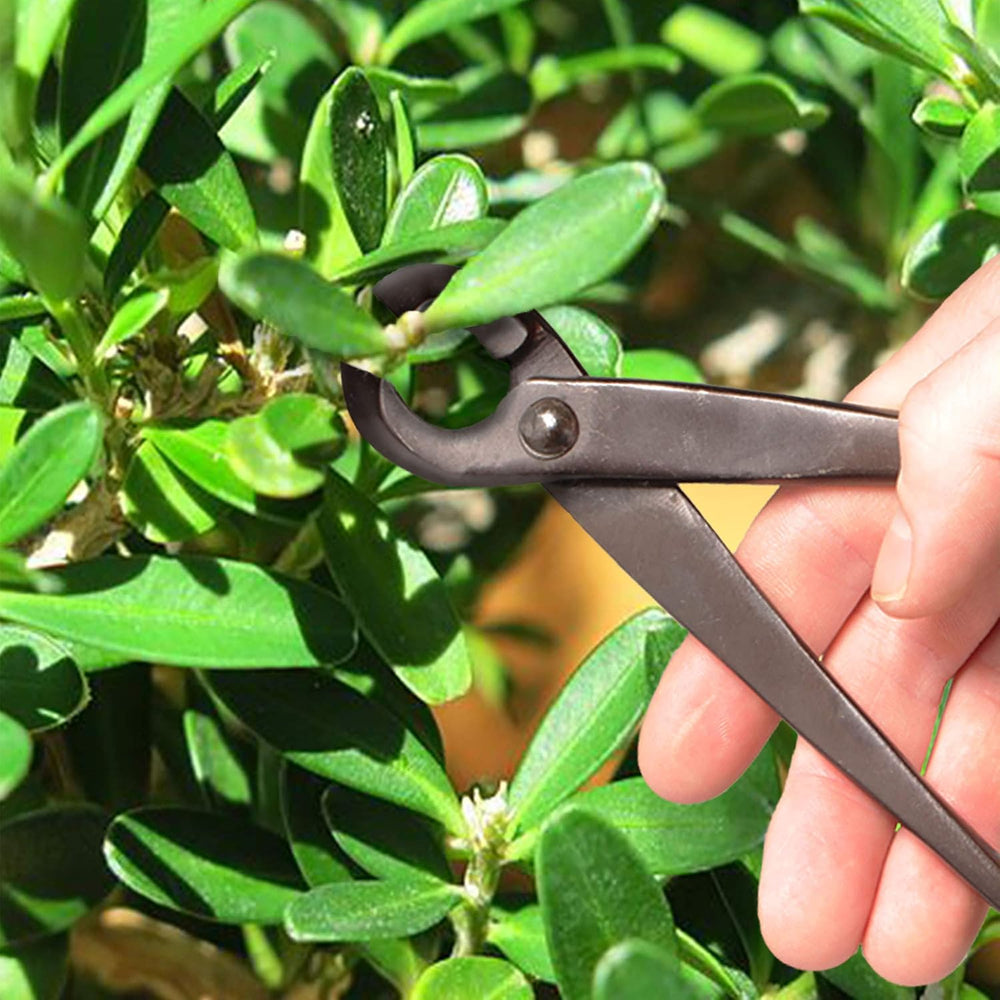 BambooMN Bonsai Basics Set - 8" Concave Cutter, 7" Heavy Duty Shear...