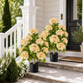 2 Pack Artificial Hydrangea Flowers Tree in Pot Fall Porch Decor Ourdoor