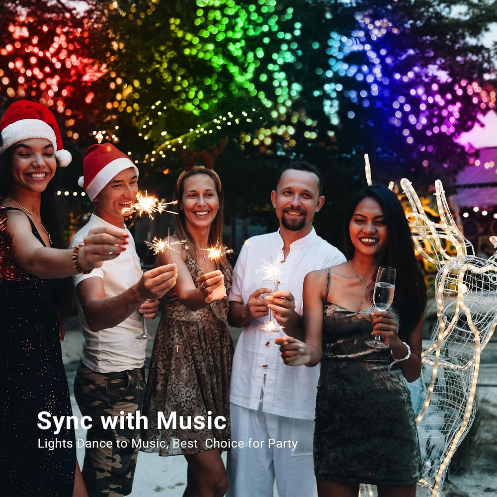 Brizled Smart Christmas Lights 1, 164ft 500 LED RGB Outdoor String Lights