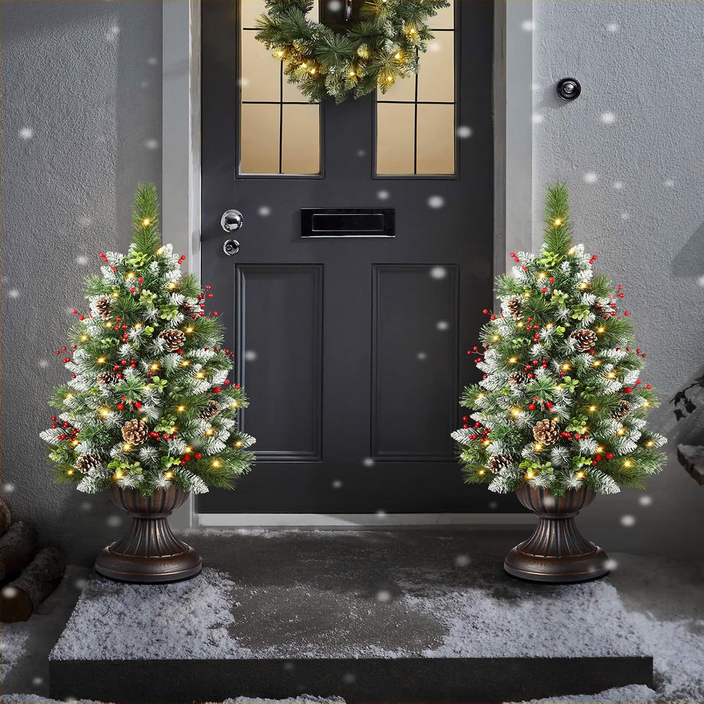 Set of 2 30 Inch Pre-lit Frosted Outdoor Christmas Tree with Remote