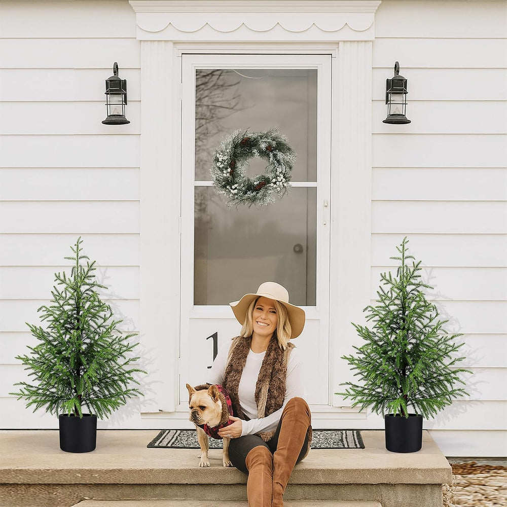 3FT Small Norfolk Pine Christmas Trees, 2-Pack Potted, Unlit