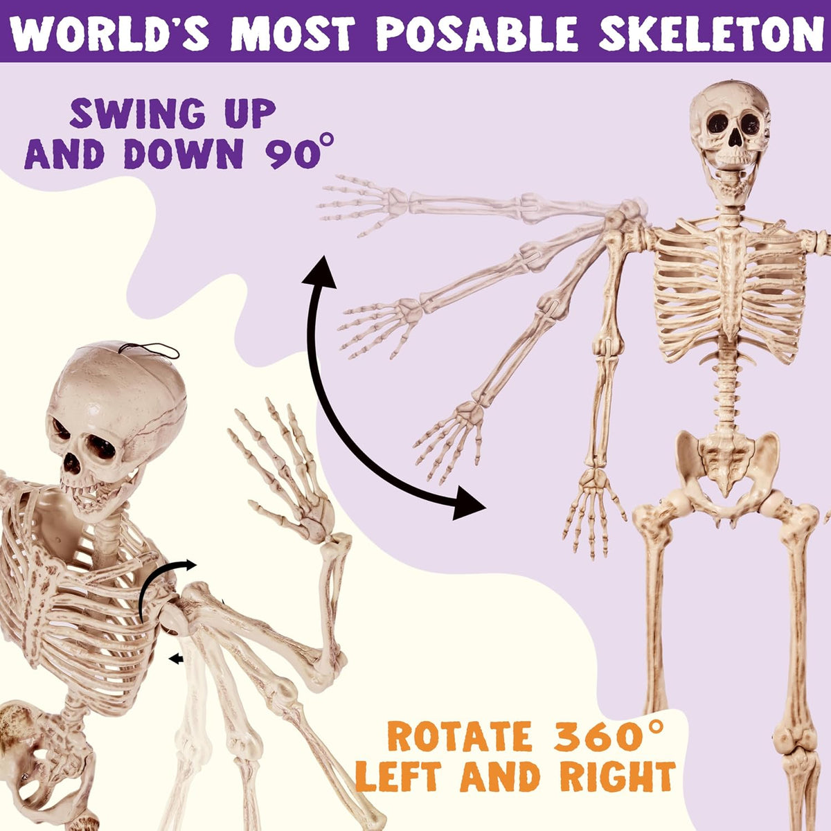 JOYIN 5.6 FT Halloween Posable Life Size Skeleton, Full Body Realistic Bones with Movable Joints, Giant Skeletons Halloween Decorations for Indoor Outdoor Haunted House Props, Spooky Scene Party Decor