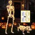Lighted Human & Dog Skeleton Halloween Decorations Outdoor/Indoor