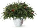 20-Piece Set 23" Norfolk Pine Stems, Norfolk Pine Branches with LED Lights