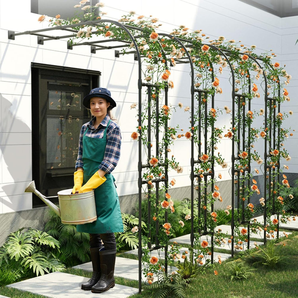 Half Arch Trellis - Garden Arch Trellis Size: 24in(L)*94.5in(H)