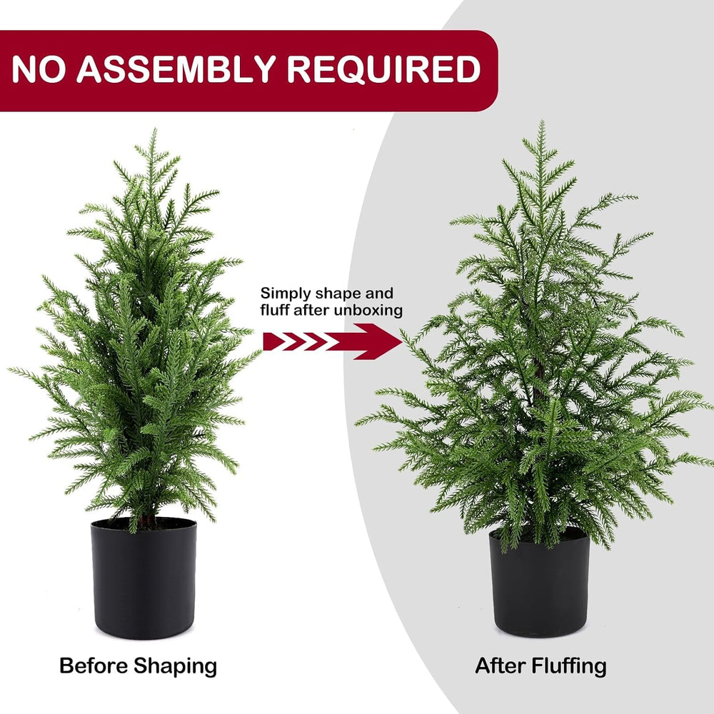 2FT Norfolk Pine Christmas Trees – Set of 2 Small Artificial Pre-lit Trees, 3...