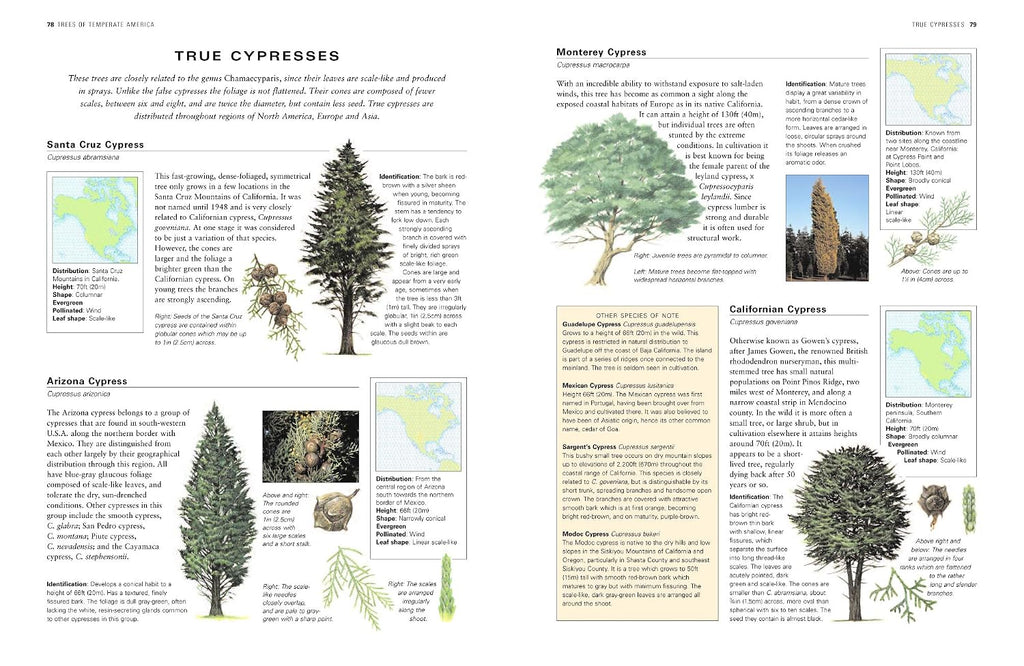 the world encyclopedia of trees: a reference and, side view