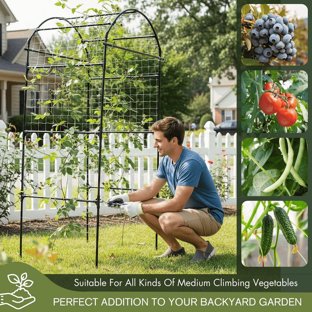 79" Tall Metal Cucumber Trellis Arch Sturdy Frame for 4FT Raised Garden Bed