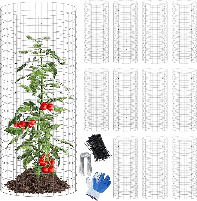 winemana 12 Set Garden Plant Protector Cage, 24x12 in Metal Wire Protectors for Plants, Protection Cages with Stakes & Nylon Ties, Animals Barrier to Keep Rabbit & Chicken Away from Flower Vegetables (36 Pcs)