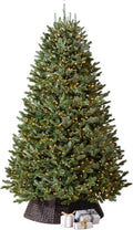 Balsam Hill BH Fraser Fir - Full Christmas Tree with Most Realistic True Needle Foliage, Easy Plug Technology & Multiple Height and Lighting Options, Clear Incandescent, 6.5ft