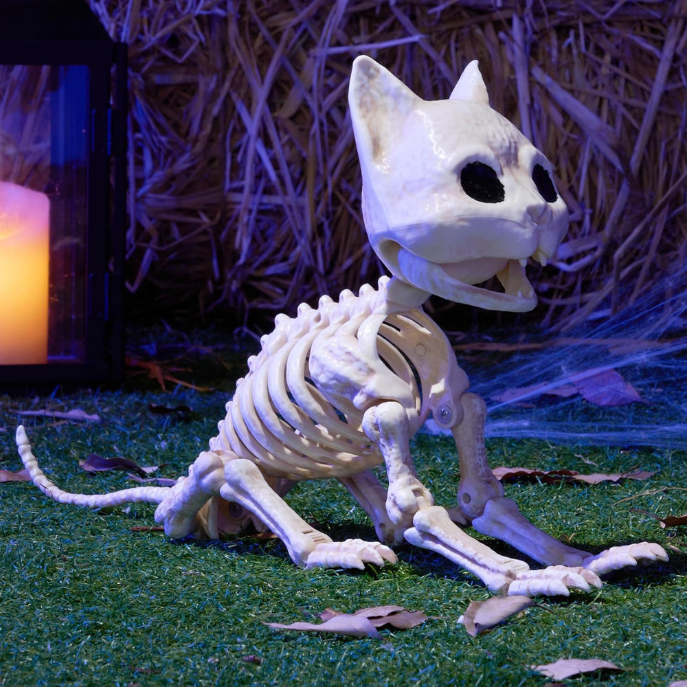 JOYIN Cat Skeleton Halloween Decorations 8 Inch Plastic Animal Skeletons with...