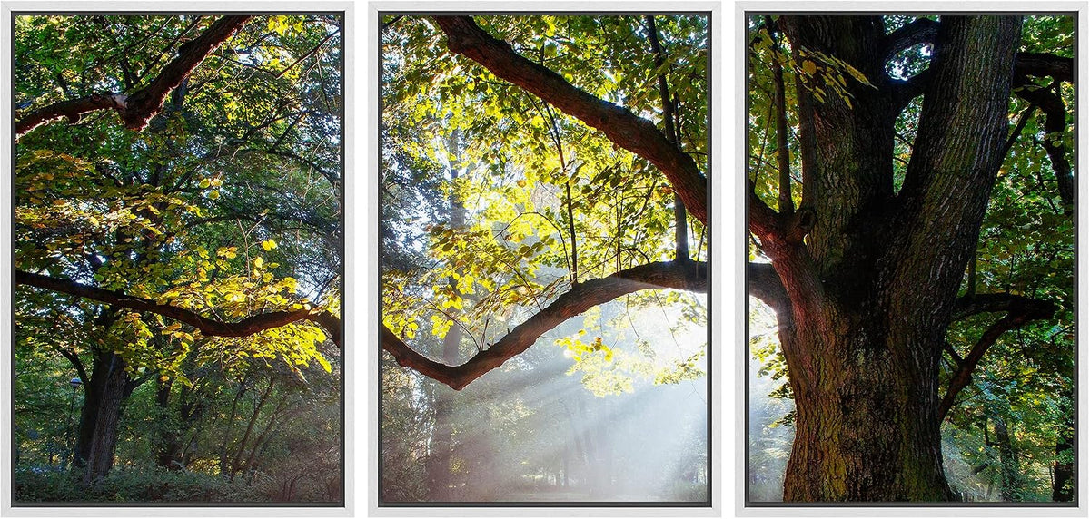 wall26 - 3 Piece Framed Canvas Wall Art - Mighty Oak Tree - Modern Home Art Stretched and Framed Ready to Hang - 24"x36"x3 White
