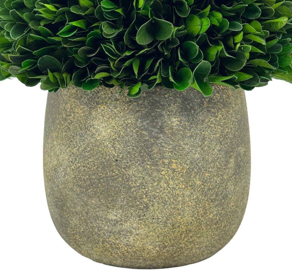 Galt International Preserved Natural Boxwood Ball in Grey Cement-Look Resin Pot Plant and Table Centerpiece Stunning Greenery and Plant Decor for Home - Grey & White Pot 9.5” Tall