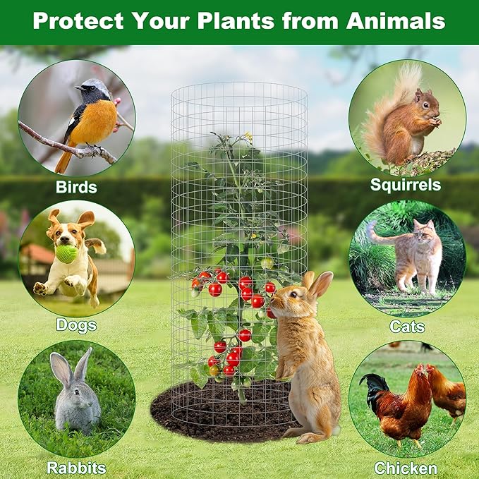 winemana 12 Set Garden Plant Protector Cage, 24x12 in Metal Wire Protectors for Plants, Protection Cages with Stakes & Nylon Ties, Animals Barrier to Keep Rabbit & Chicken Away from Flower Vegetables (36 Pcs)