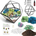 DIY 7" Geometric Terrarium Kit - Build Your Own Glass Terrarium for Adults & Kids with Moss, Crystals, Tools & Decorative Figurine - Mini Ecosystem - Handcrafted in The USA