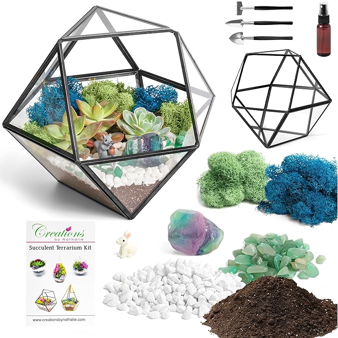 DIY 7" Geometric Terrarium Kit - Build Your Own Glass Terrarium for Adults & Kids with Moss, Crystals, Tools & Decorative Figurine - Mini Ecosystem - Handcrafted in The USA