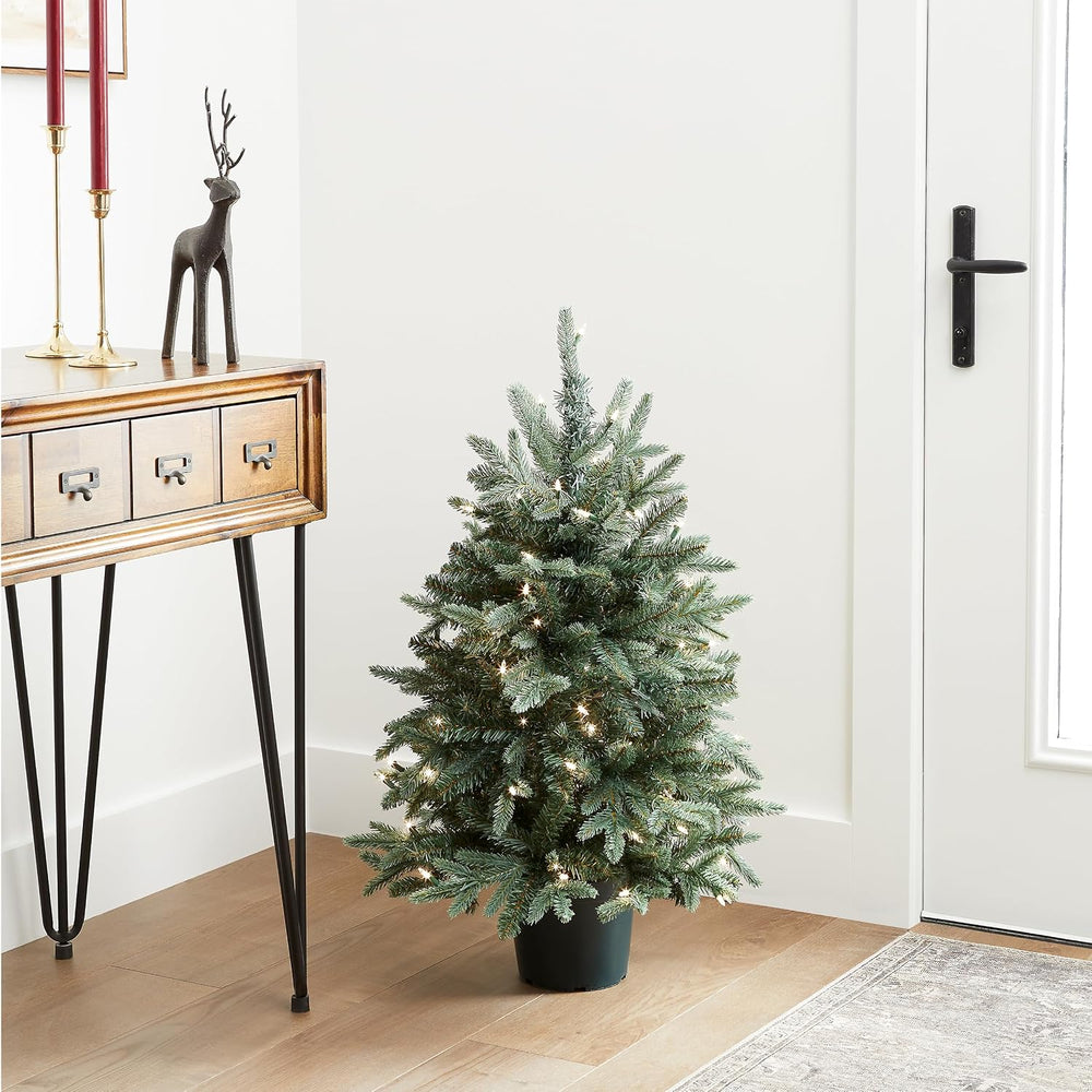 National Tree Company 3ft Pre-Lit Everyday Collection Mini Christmas Tree