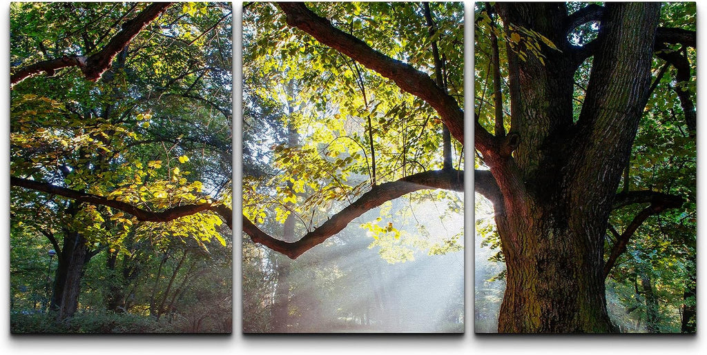 wall26 - 3 Piece Canvas Wall Art - Mighty Oak Tree - Modern Home Art Stretched and Framed Ready to Hang - 16"x24"x3 Panels