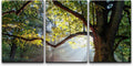 wall26 - 3 Piece Canvas Wall Art - Mighty Oak Tree - Modern Home Art Stretched and Framed Ready to Hang - 16"x24"x3 Panels