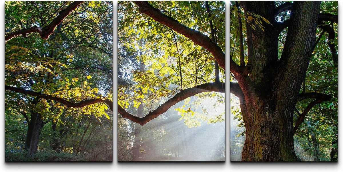 wall26 - 3 Piece Canvas Wall Art - Mighty Oak Tree - Modern Home Art Stretched and Framed Ready to Hang - 16"x24"x3 Panels