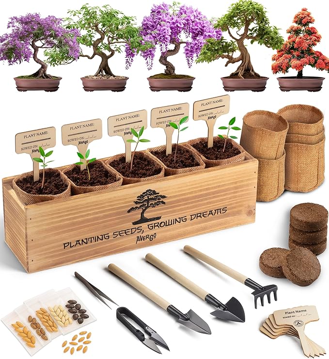 AVERGO Bonsai Tree Kit for Beginners – 5X Unique Japanese Bonzai Trees | Complete Indoor Starter Kit for Growing Plants with Bonsai Seeds, Tools & Planters – Gardening Gifts for Women & Men