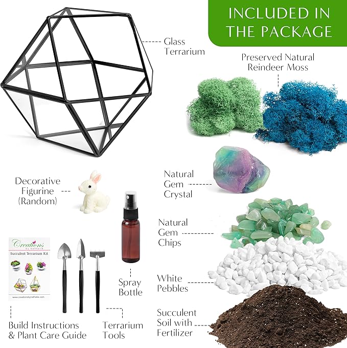 DIY 7" Geometric Terrarium Kit - Build Your Own Glass Terrarium for Adults & Kids with Moss, Crystals, Tools & Decorative Figurine - Mini Ecosystem - Handcrafted in The USA